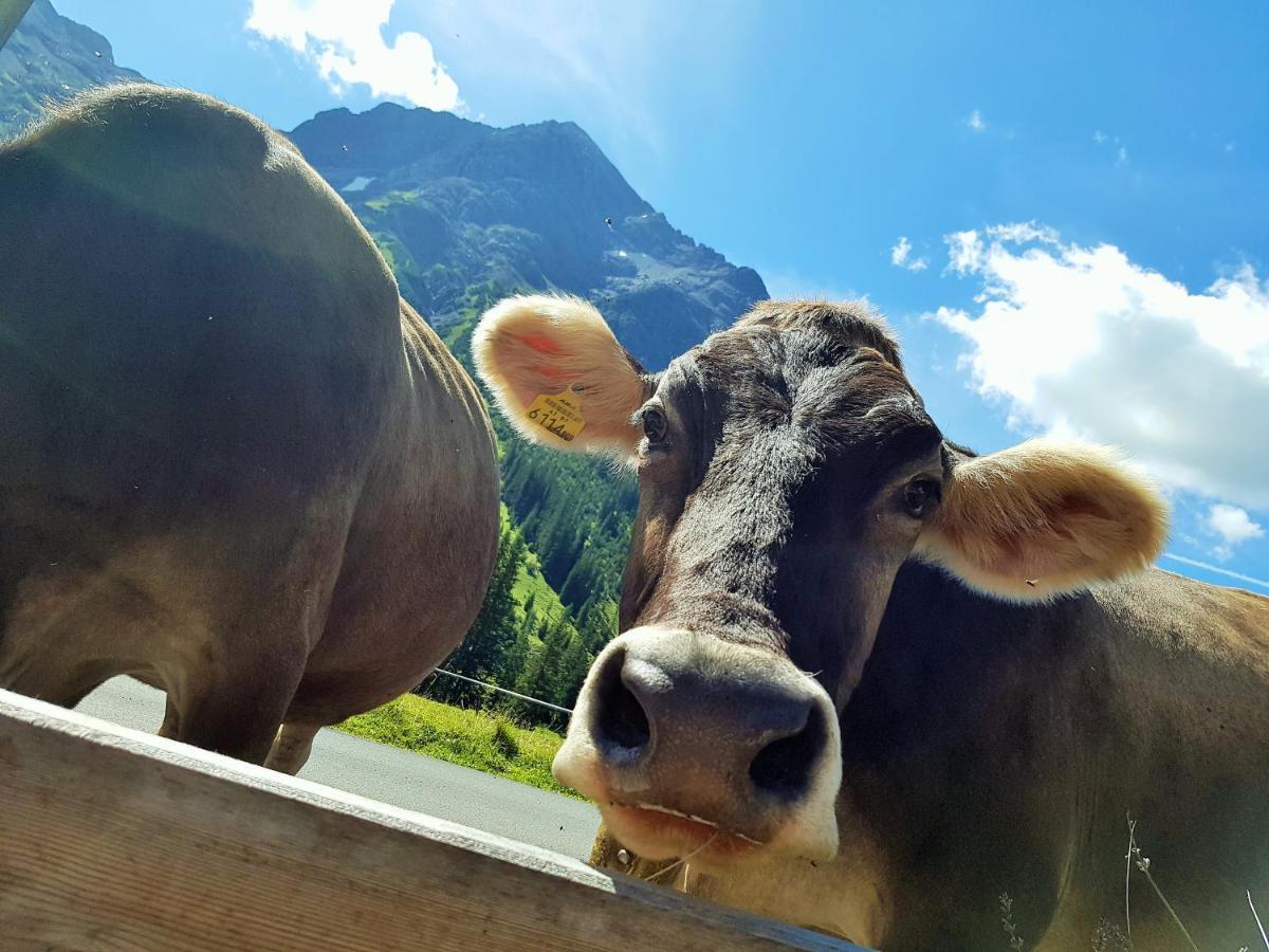 Gasthof Auerhahn レッヒ エクステリア 写真